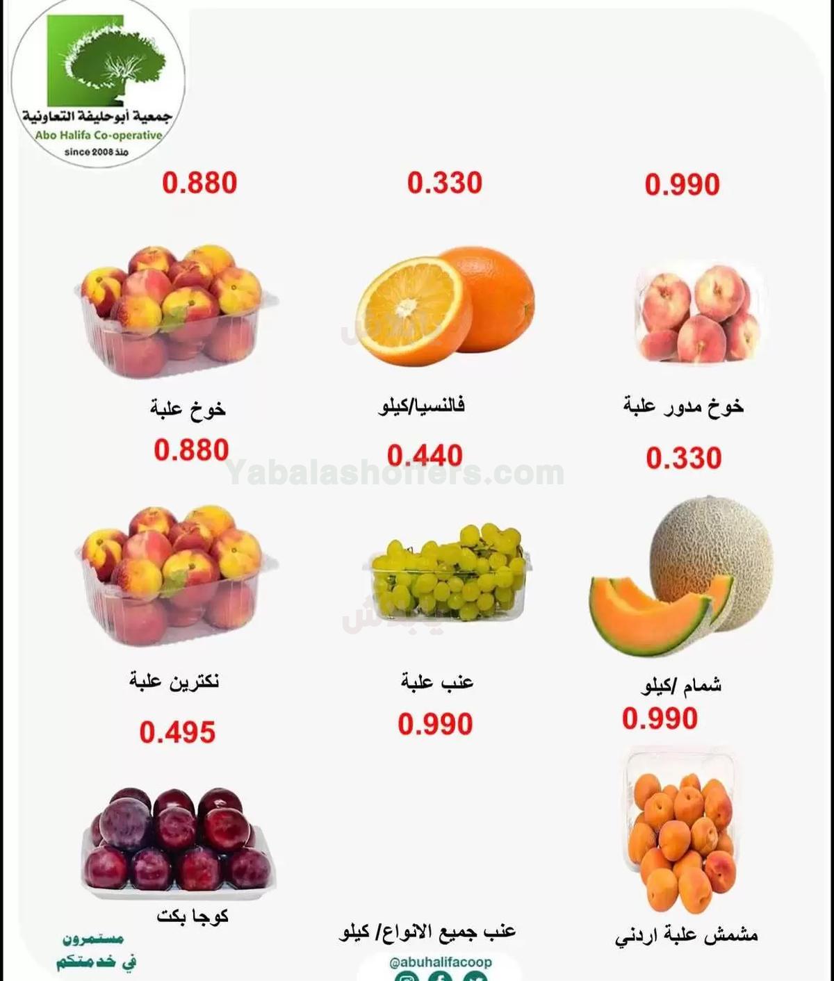 صفحة 2