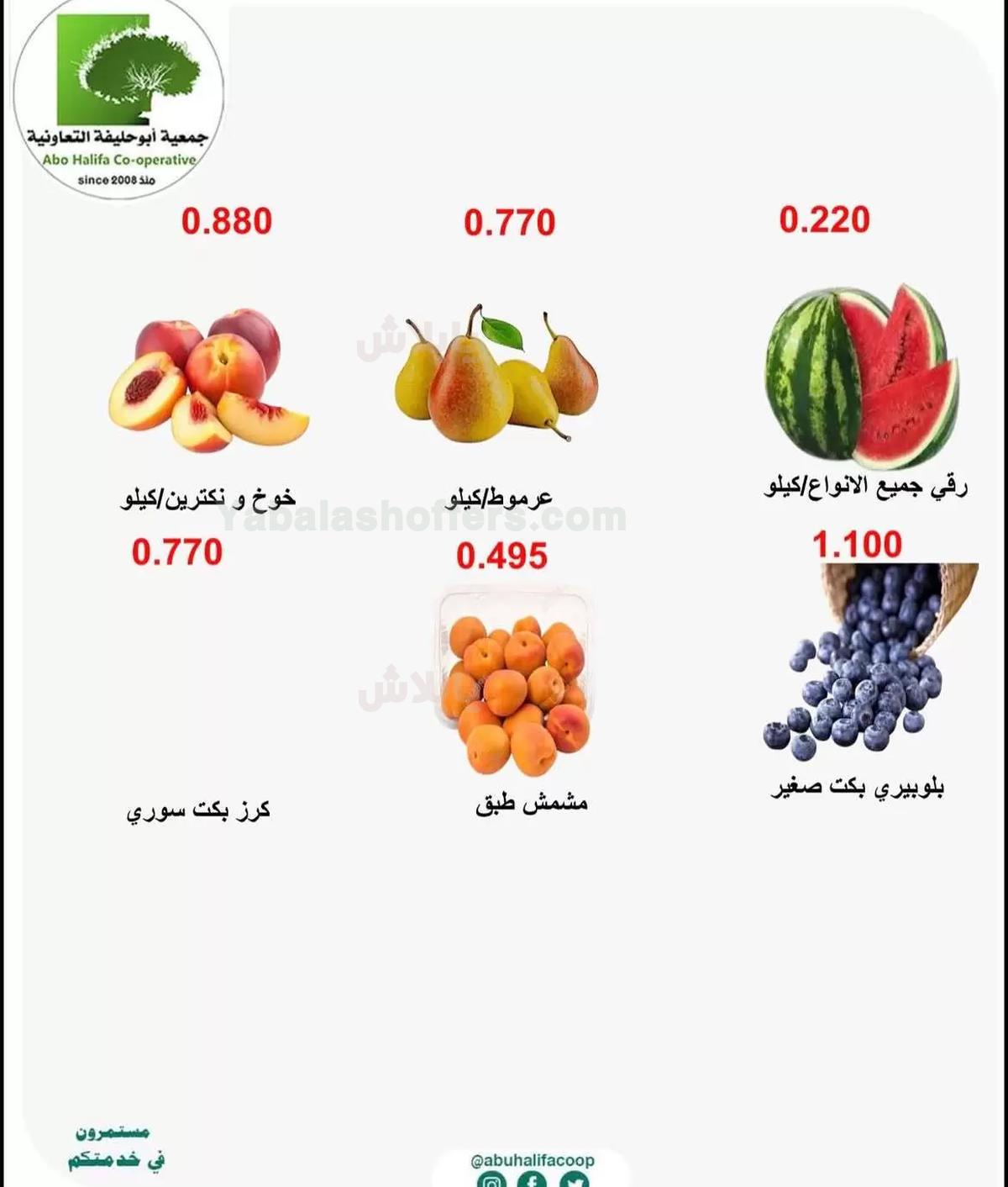 صفحة 3