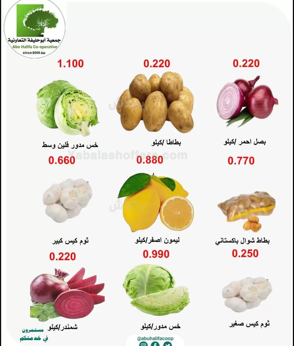 صفحة 4