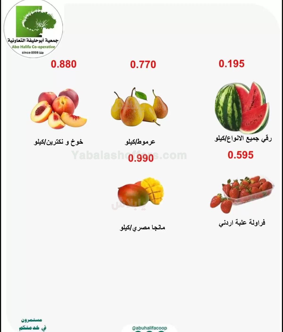 صفحة 3