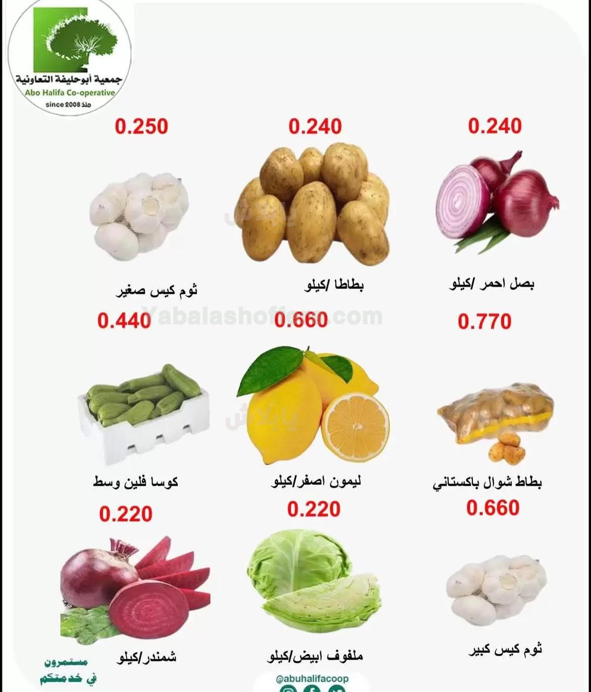 صفحة 4