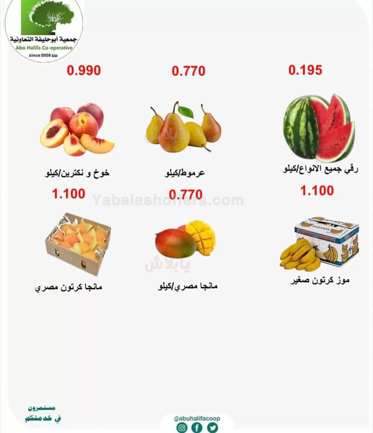 صفحة 3