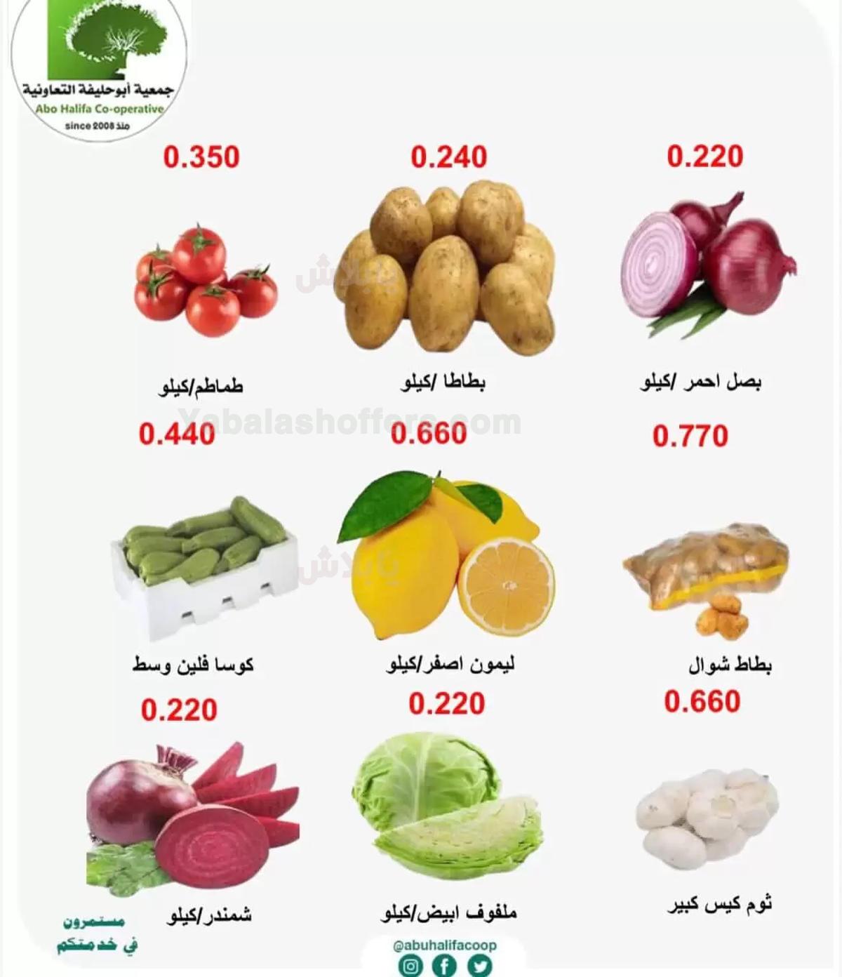 صفحة 4