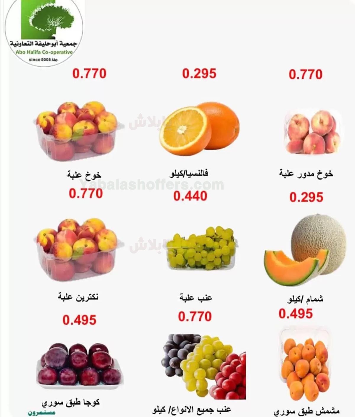صفحة 2