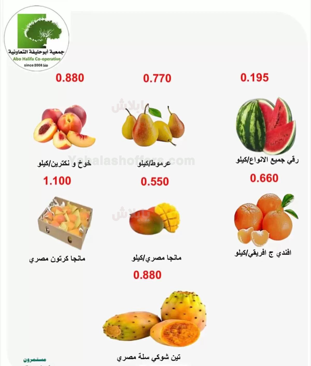 صفحة 3