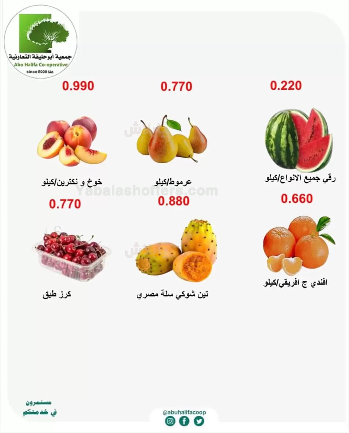 صفحة 4