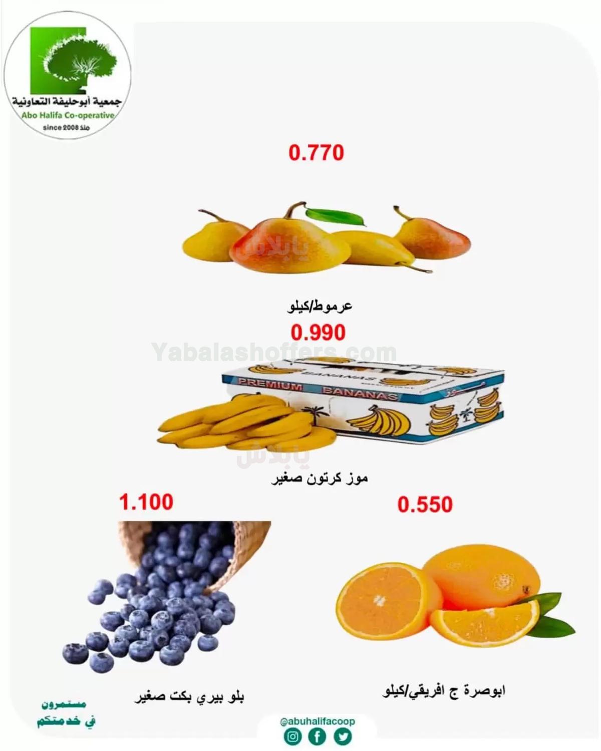 صفحة 3