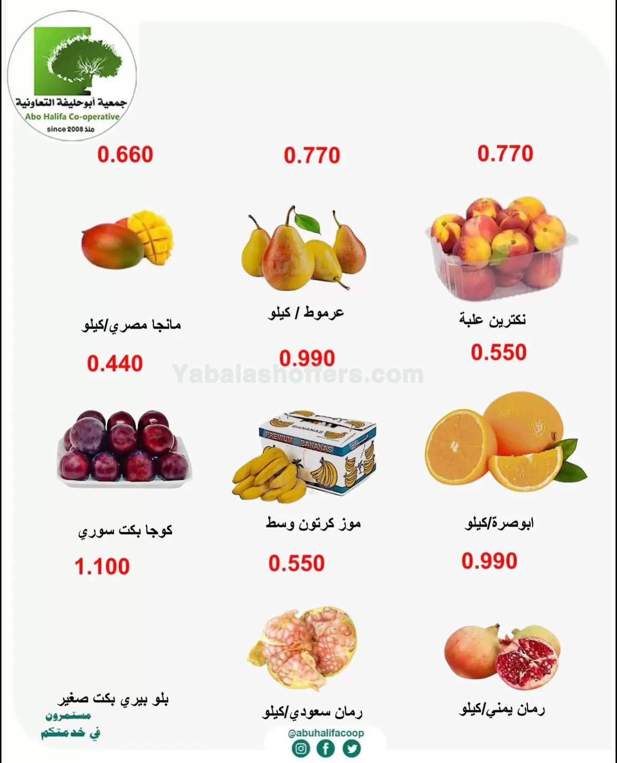 صفحة 3