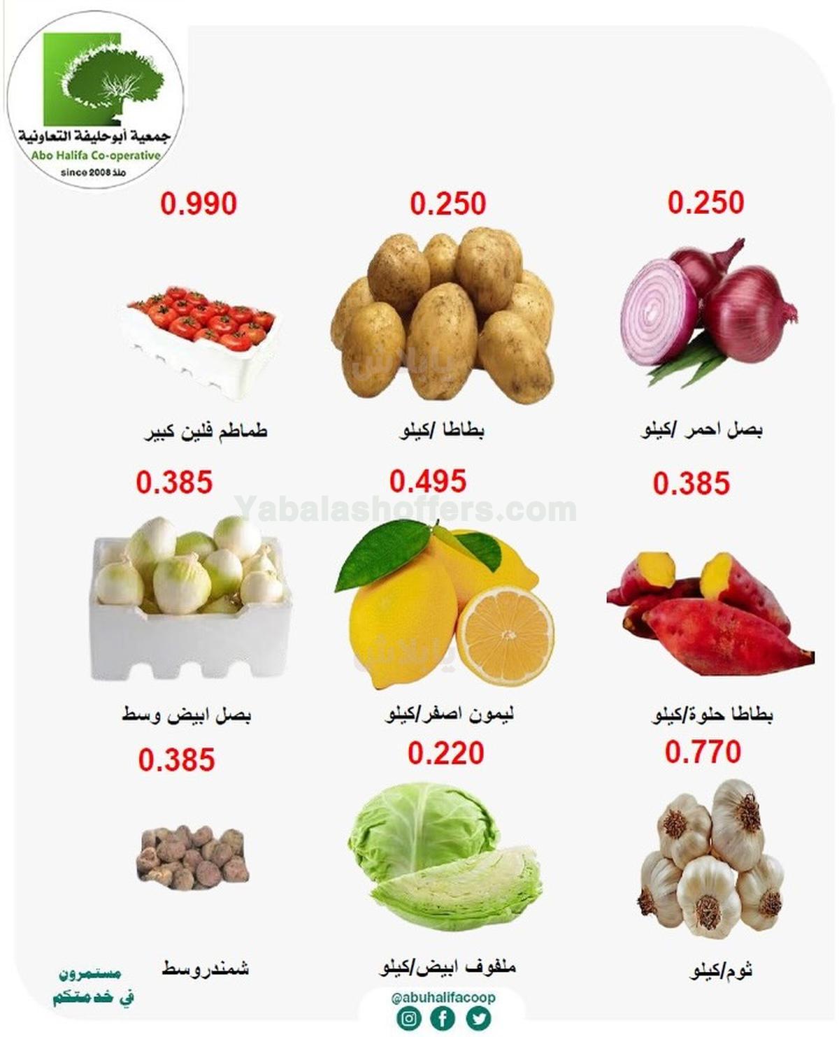 صفحة 4