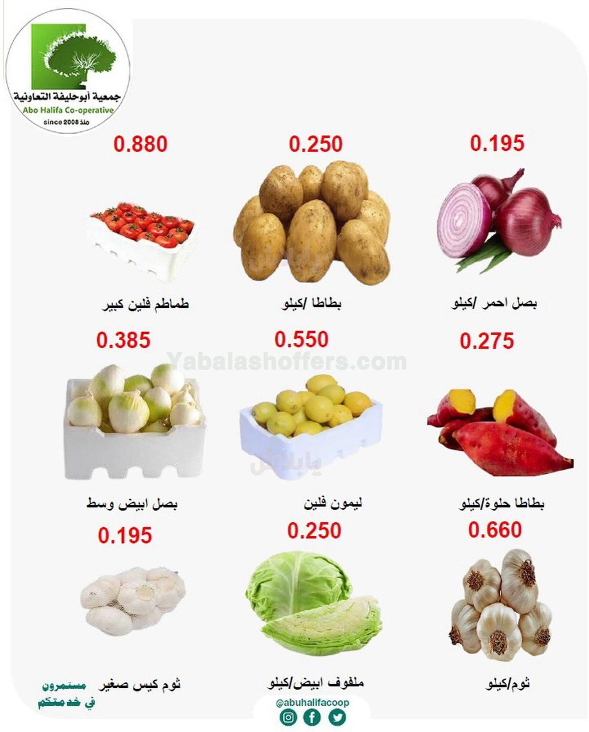 صفحة 4