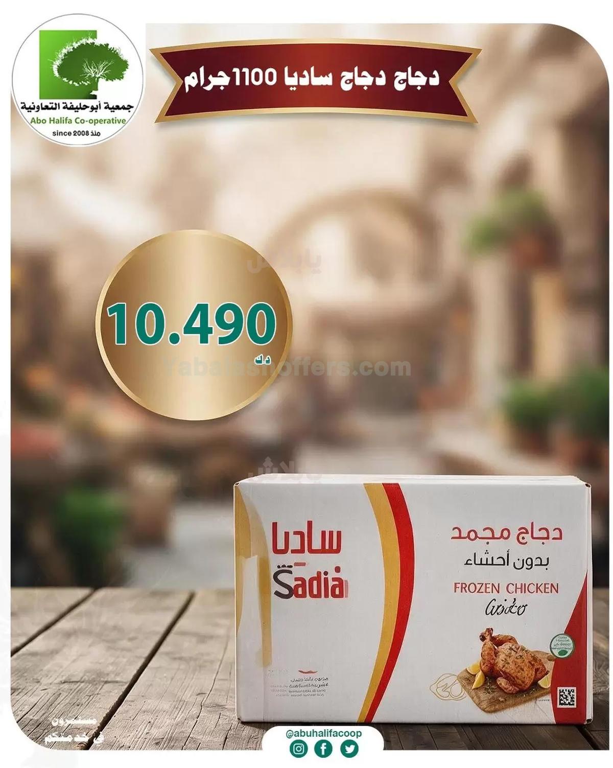 صفحة 11