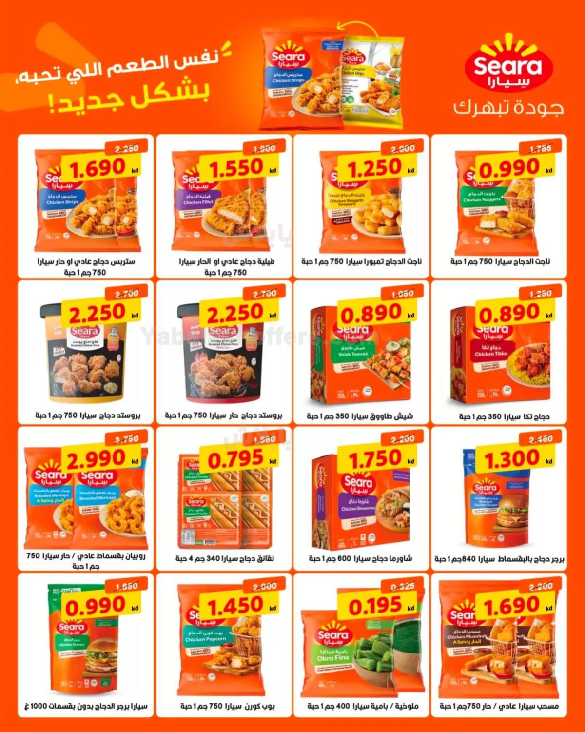 صفحة 15