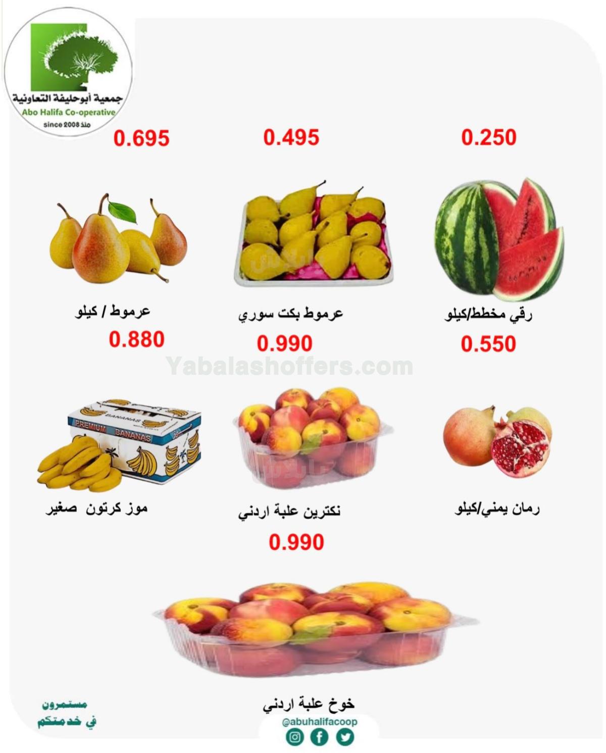 صفحة 3