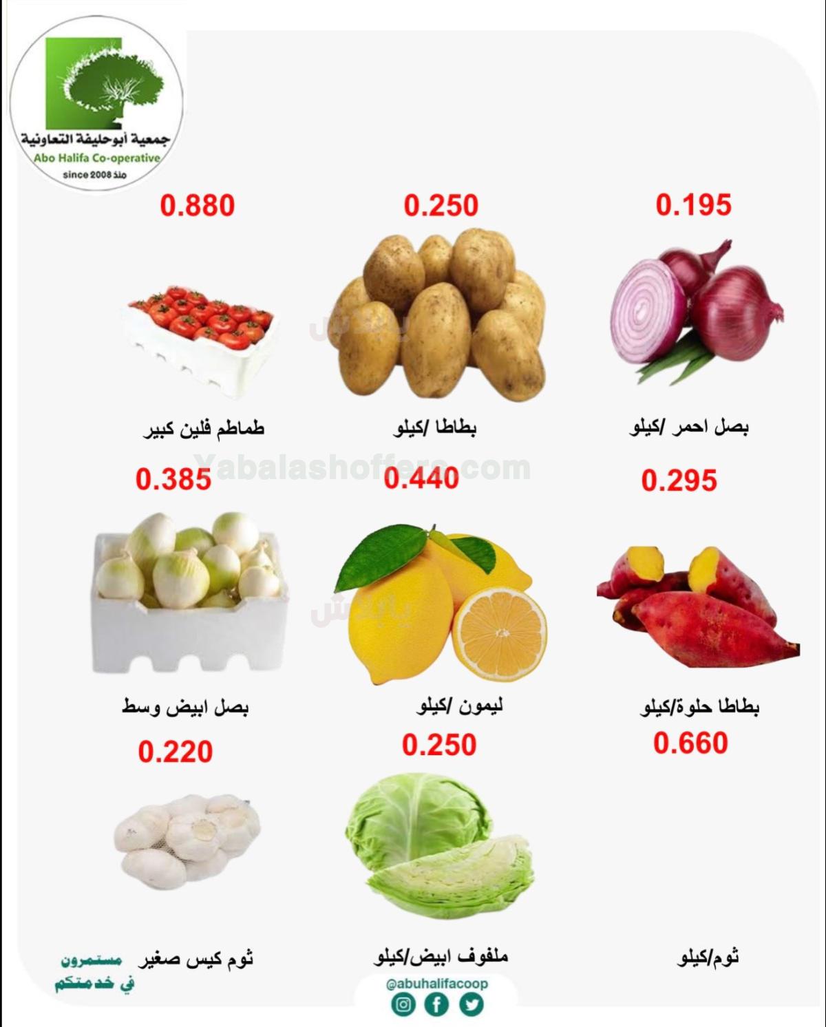 صفحة 4