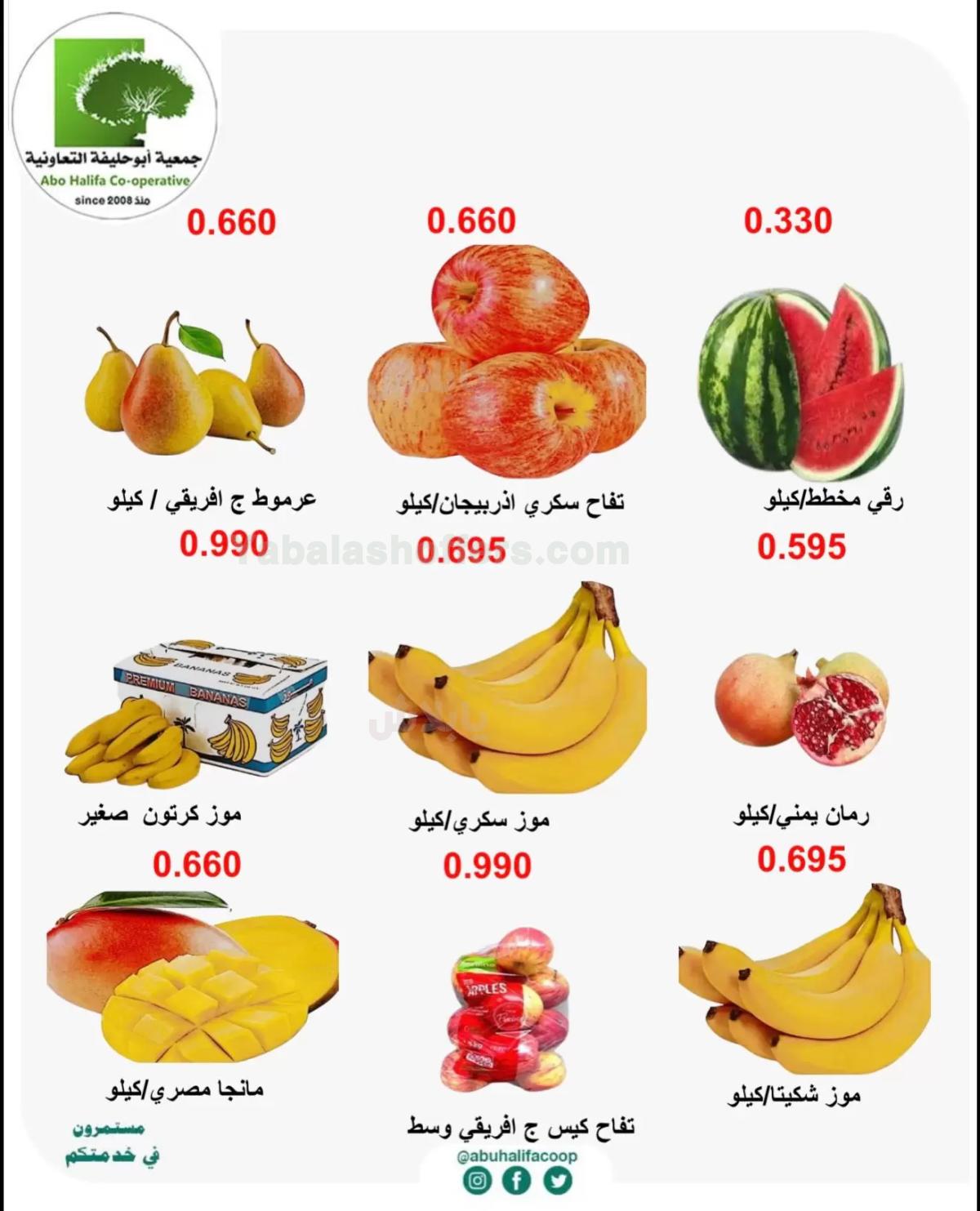 صفحة 3