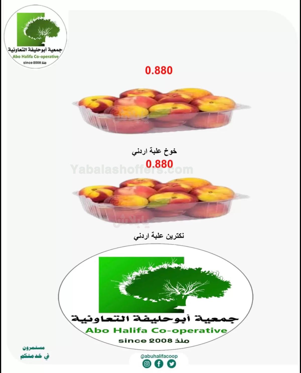 صفحة 4