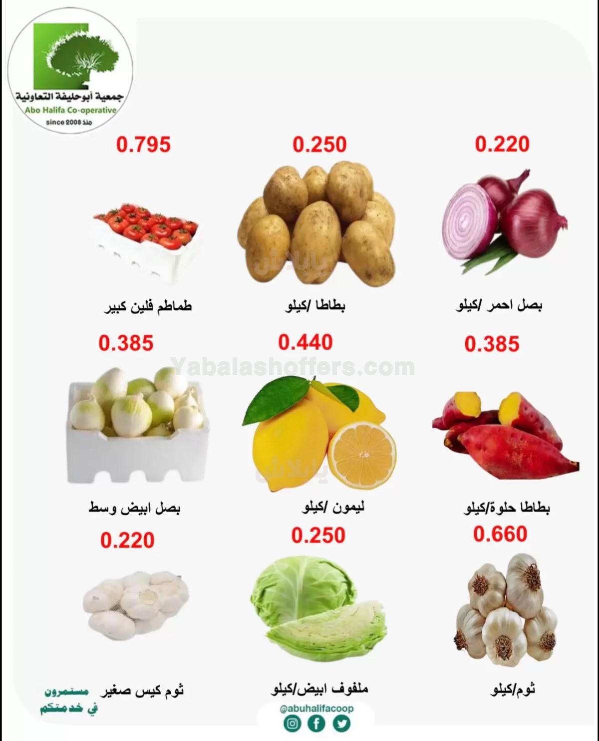 صفحة 5