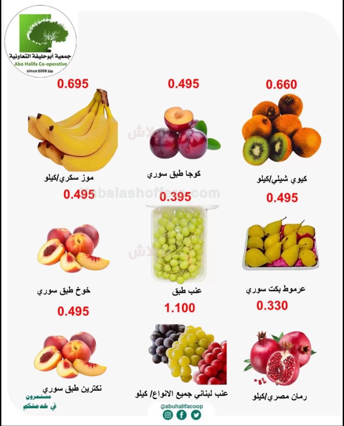 صفحة 2