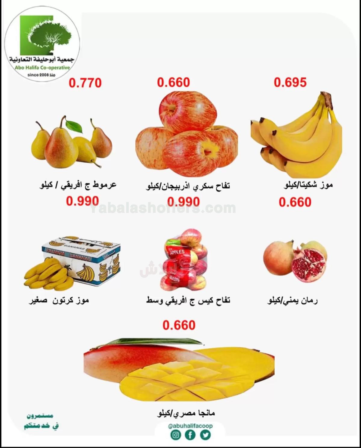 صفحة 3