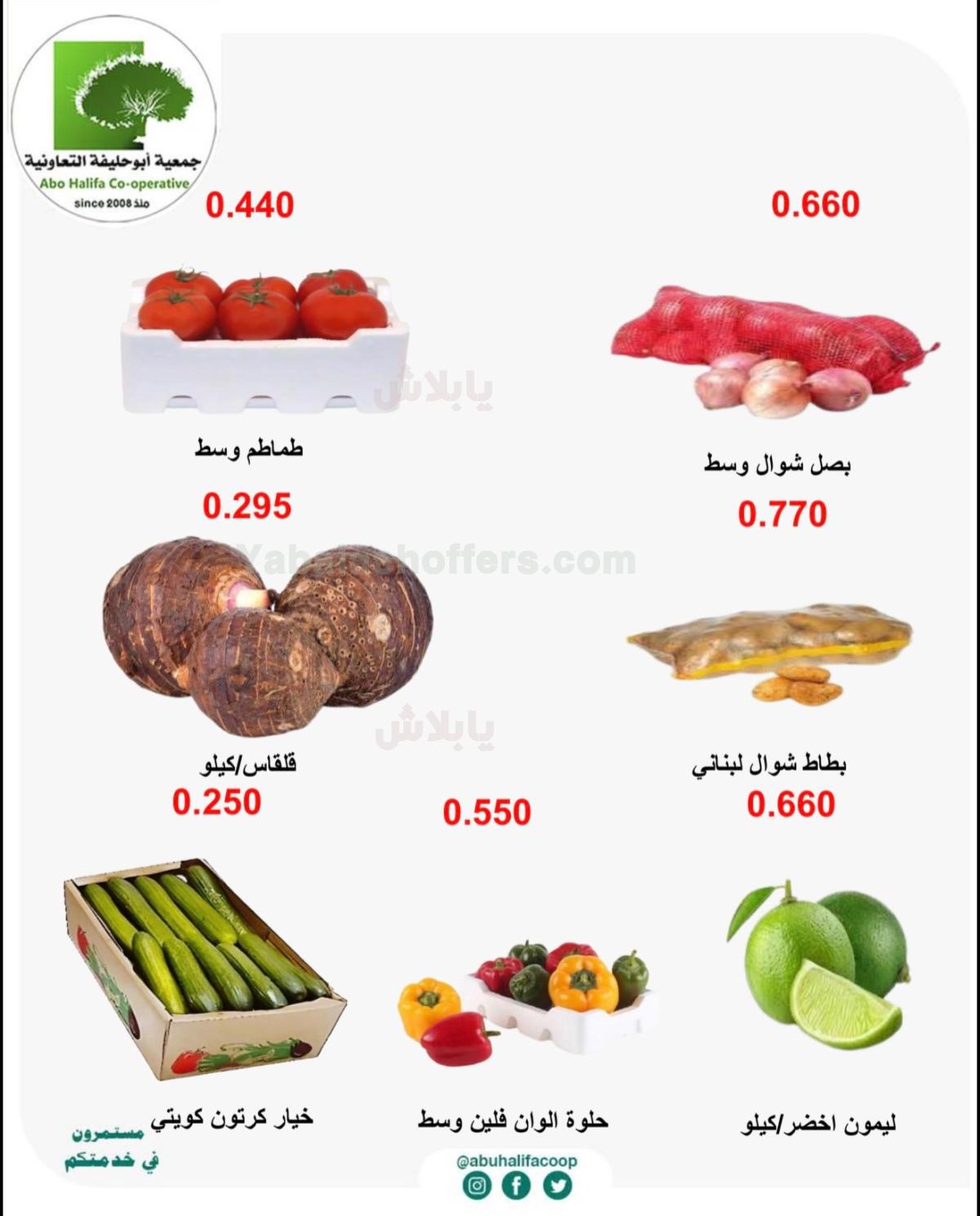 صفحة 5