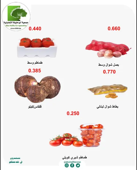صفحة 4