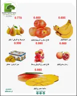 صفحة 8