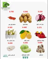 صفحة 10