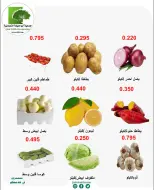 صفحة 8