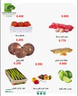 صفحة 9