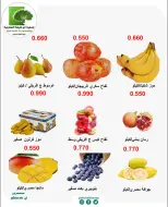 صفحة 11