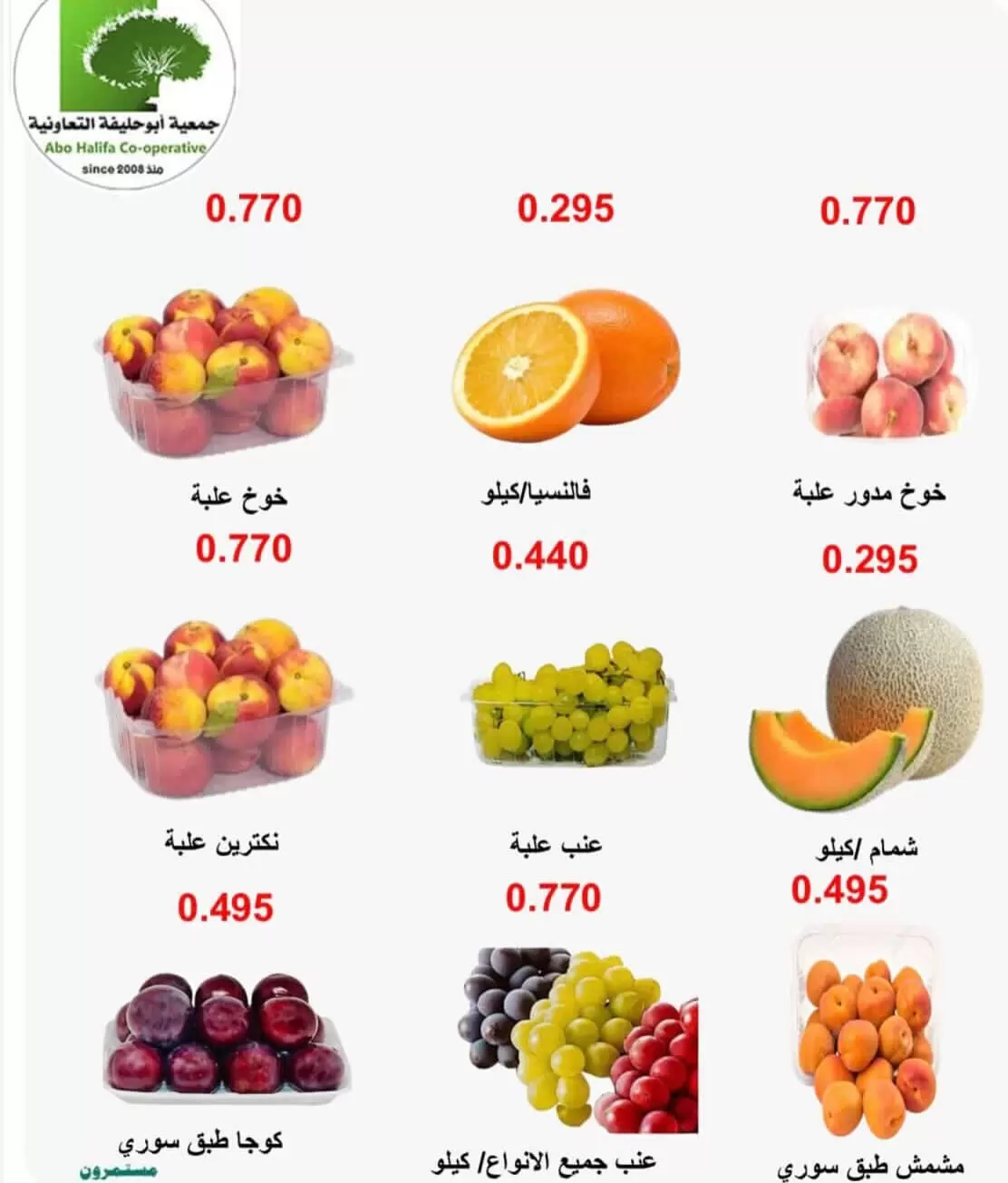 صفحة 2
