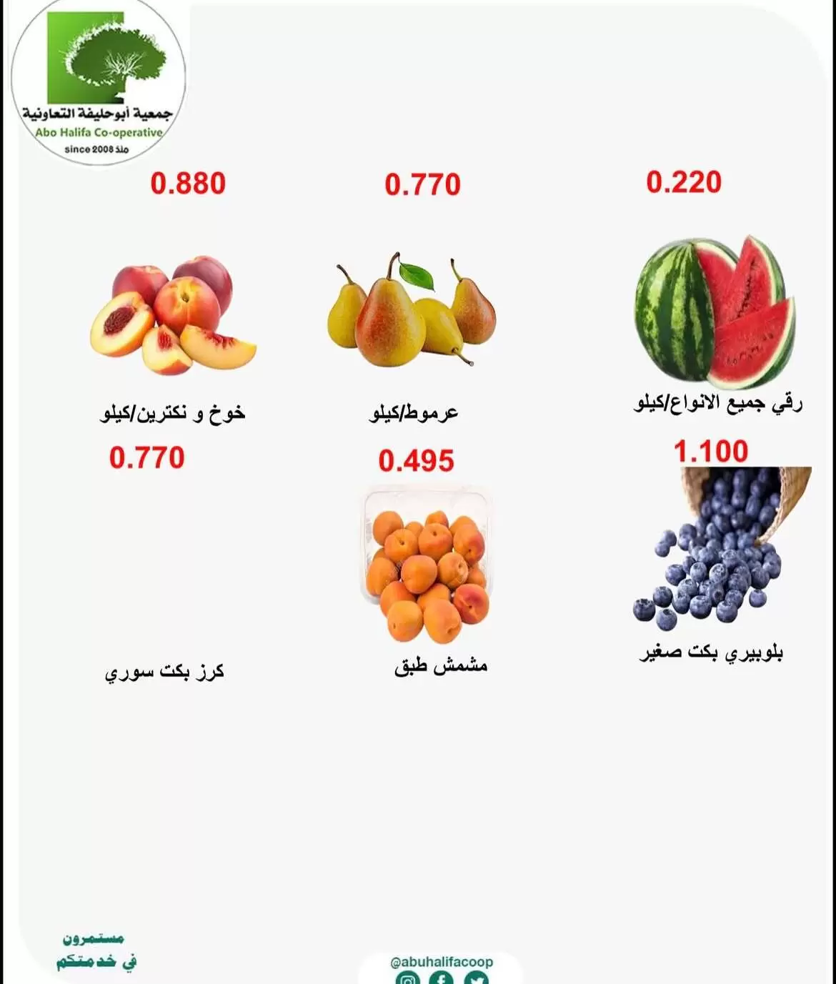 صفحة 3