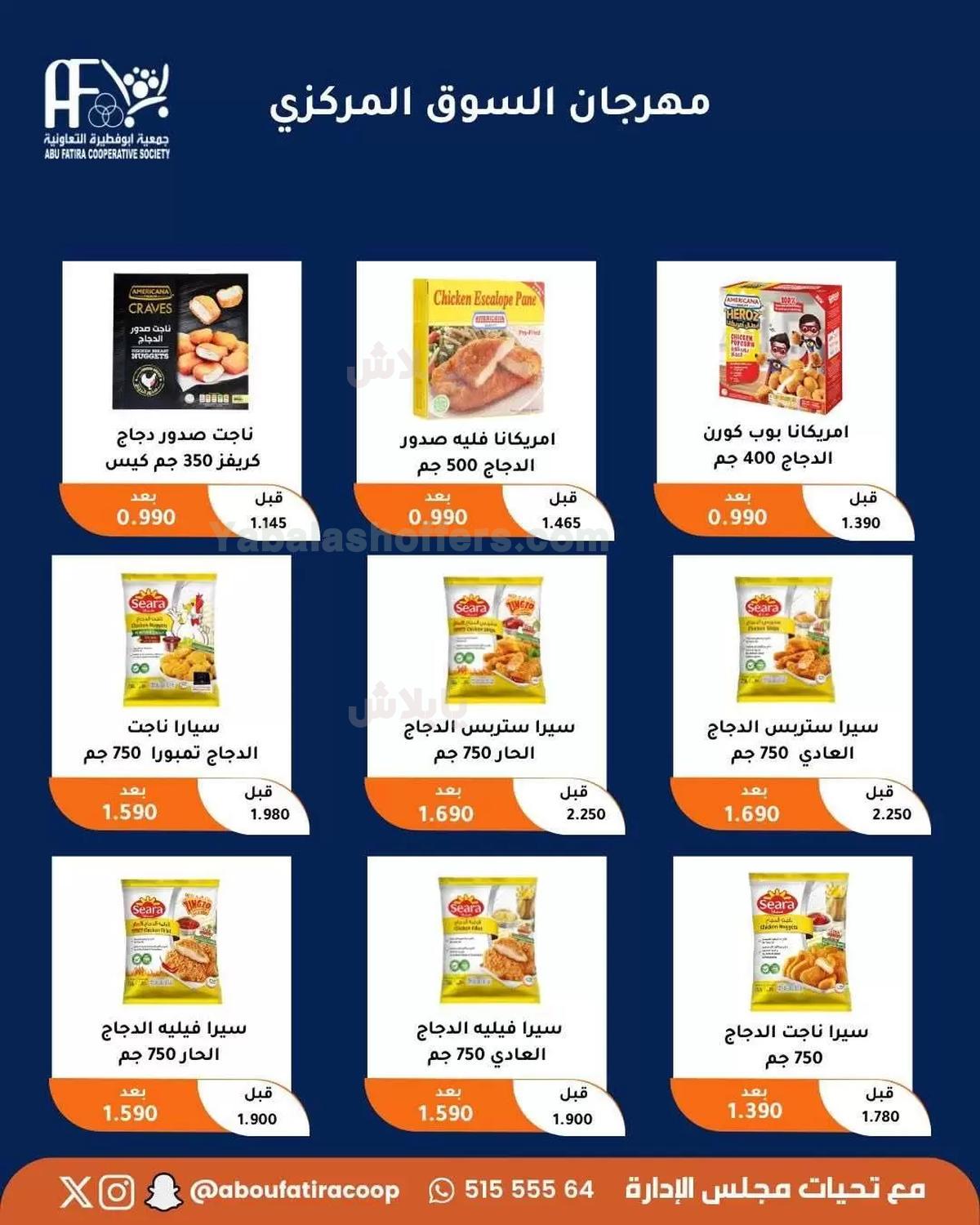 صفحة 17
