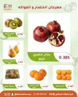 صفحة 11