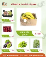 صفحة 13