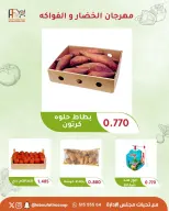صفحة 17