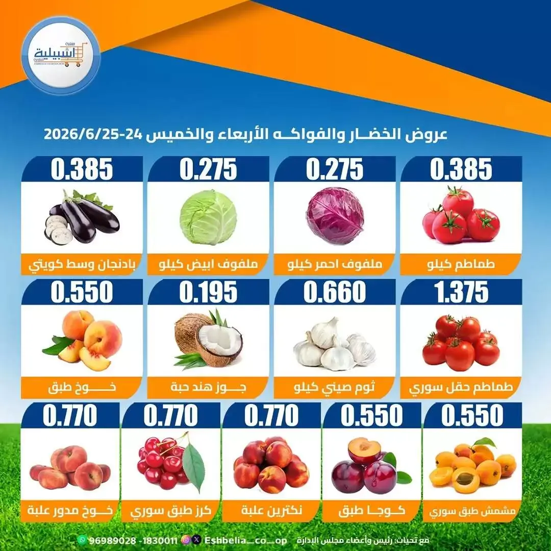 صفحة 3