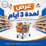 صفحة 42