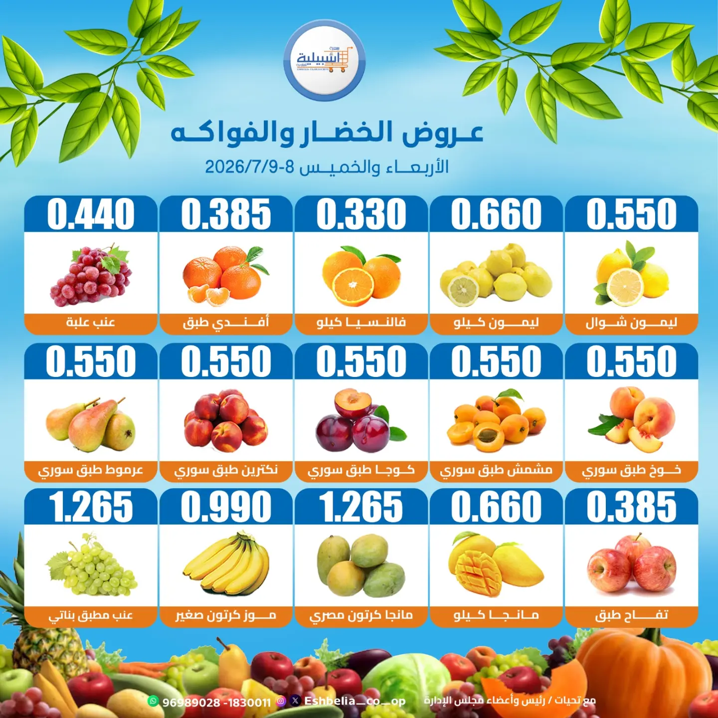 صفحة 3