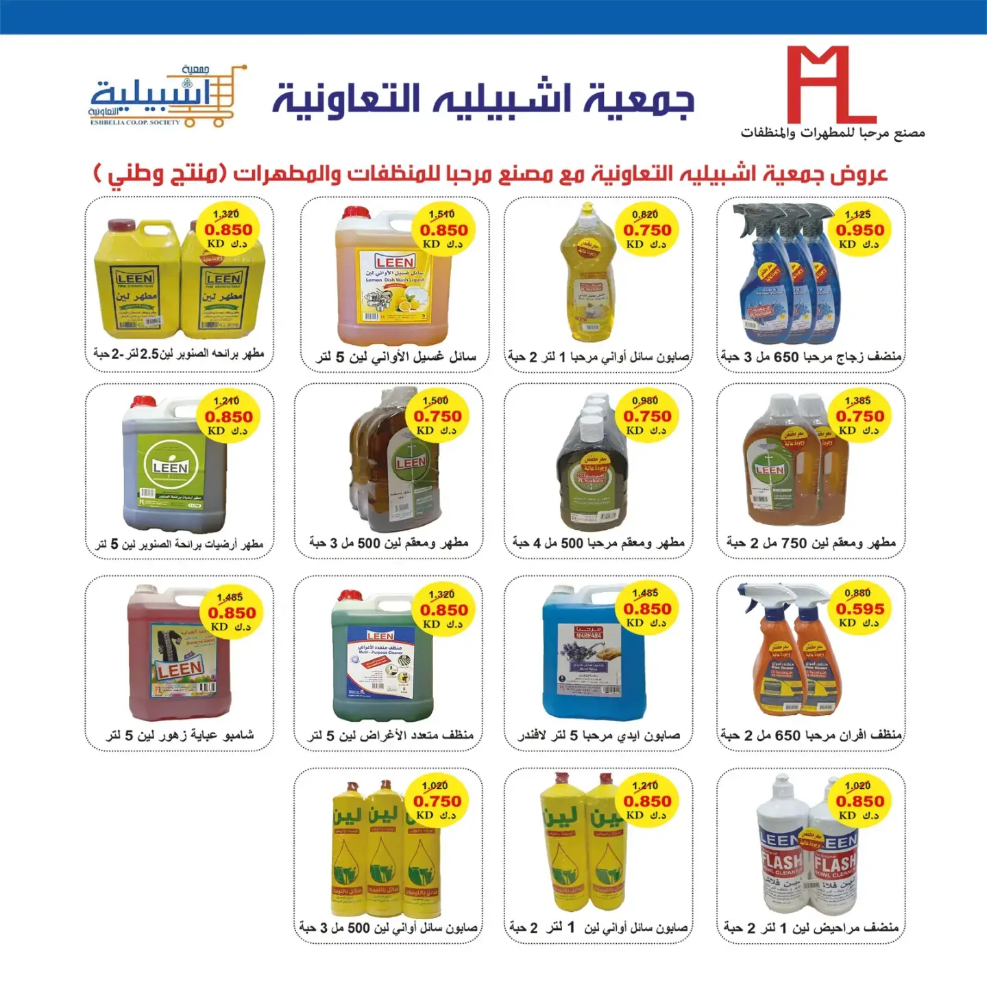 صفحة 13
