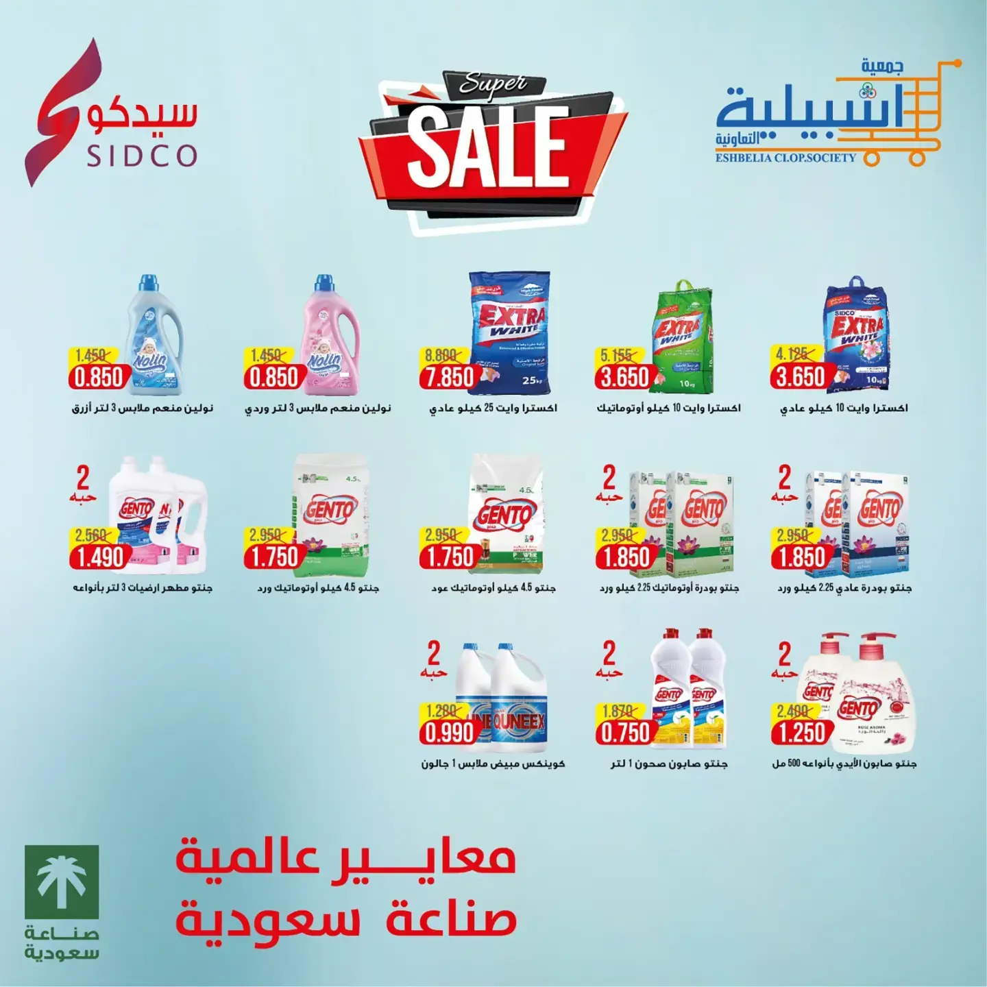 صفحة 17