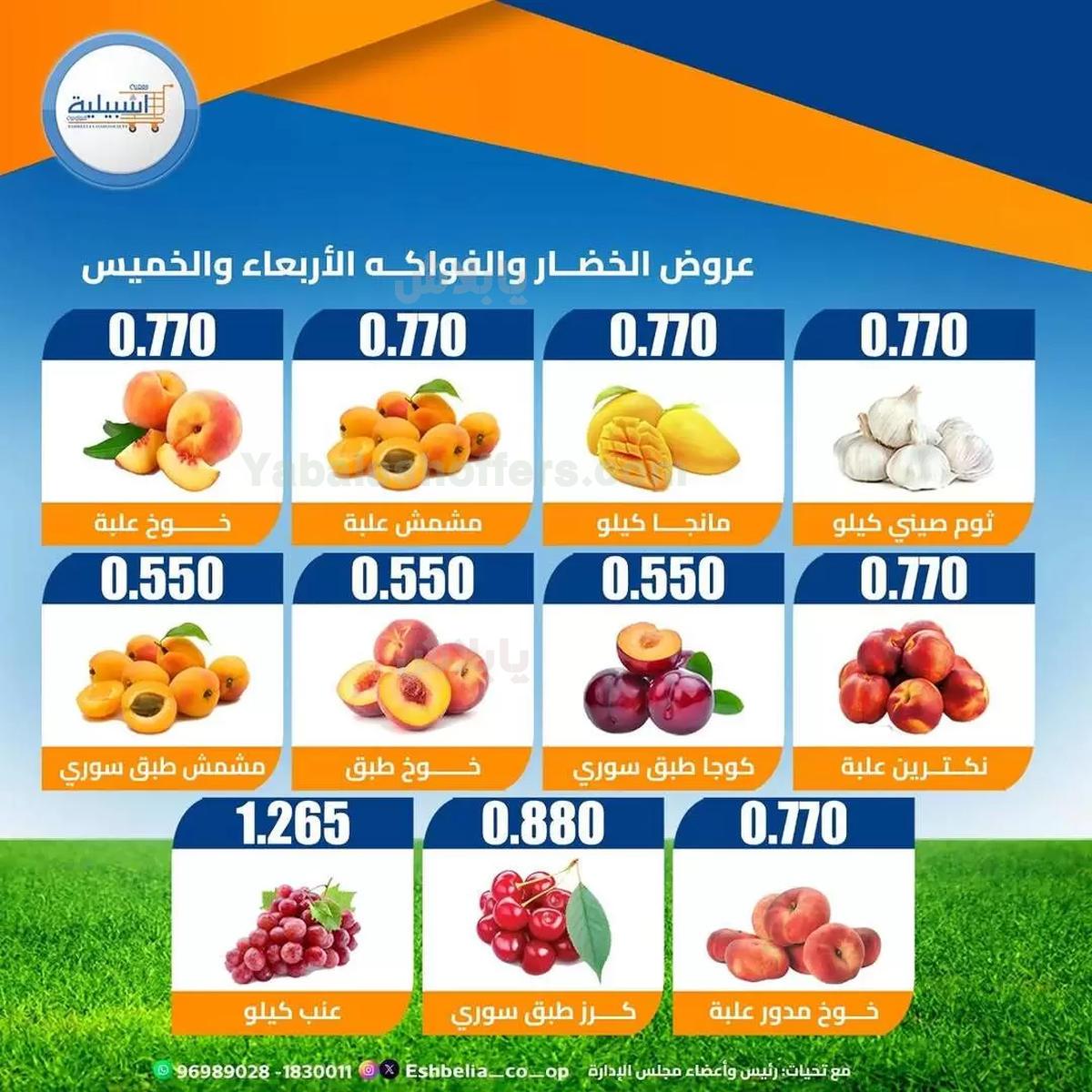 صفحة 3