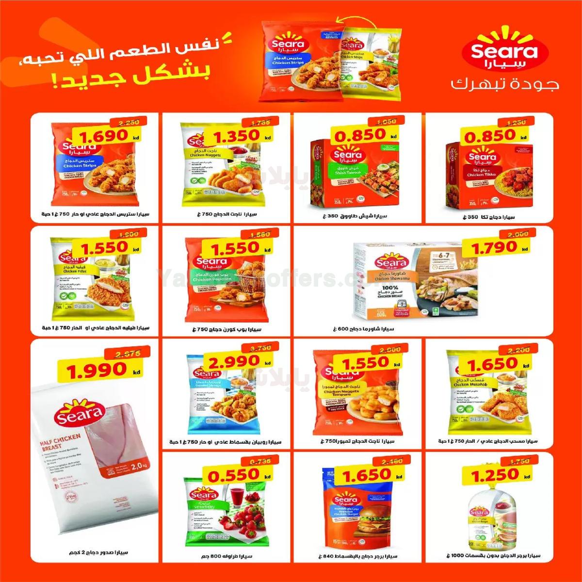 صفحة 3