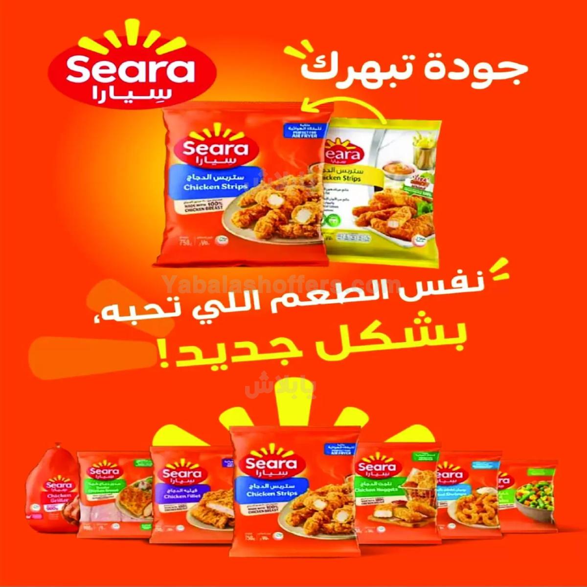 صفحة 4
