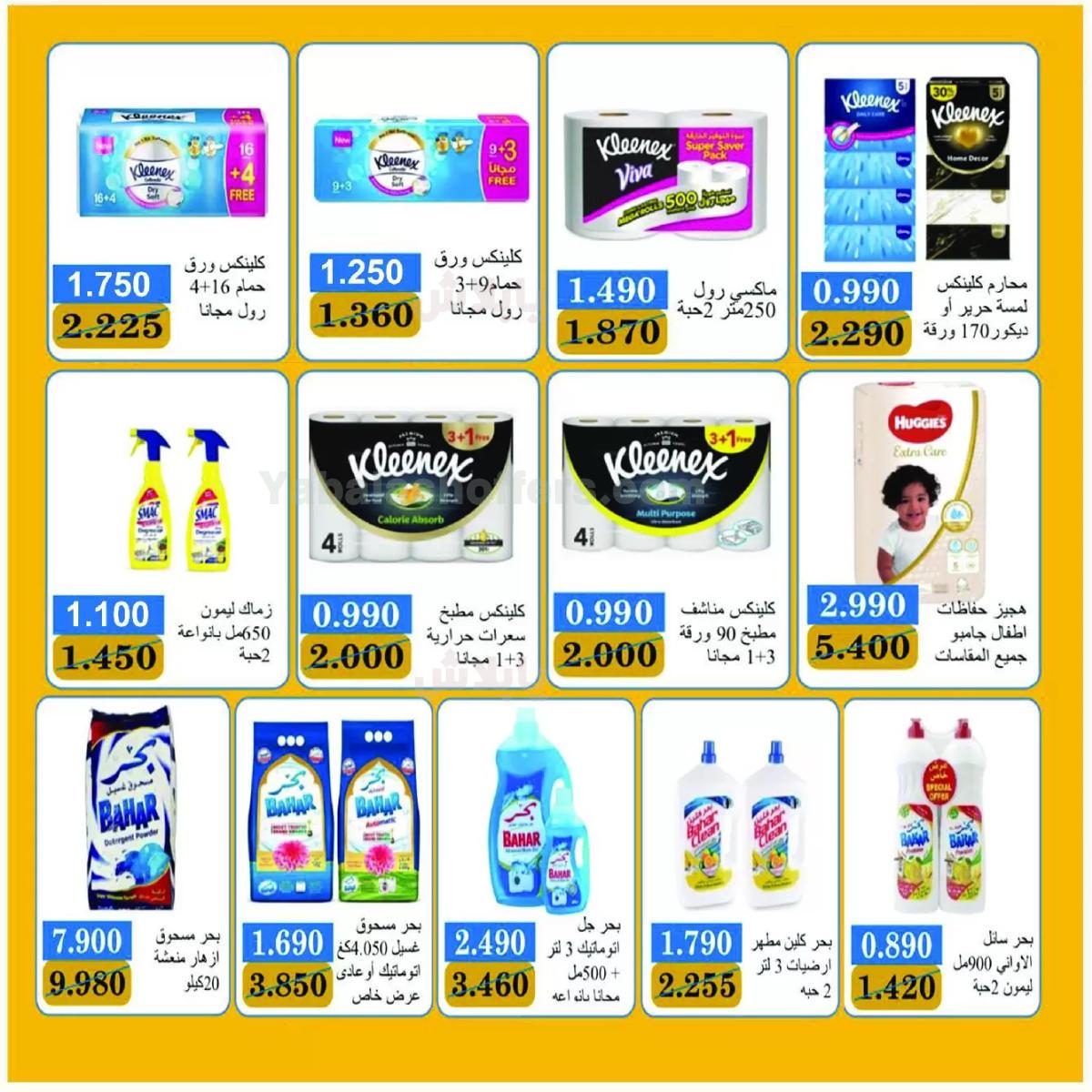 صفحة 29
