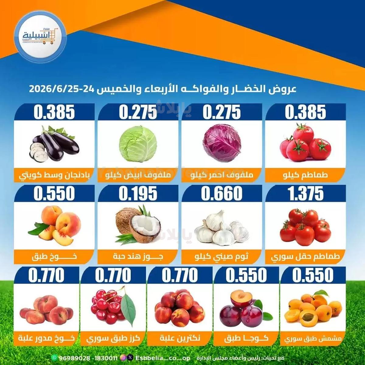 صفحة 3