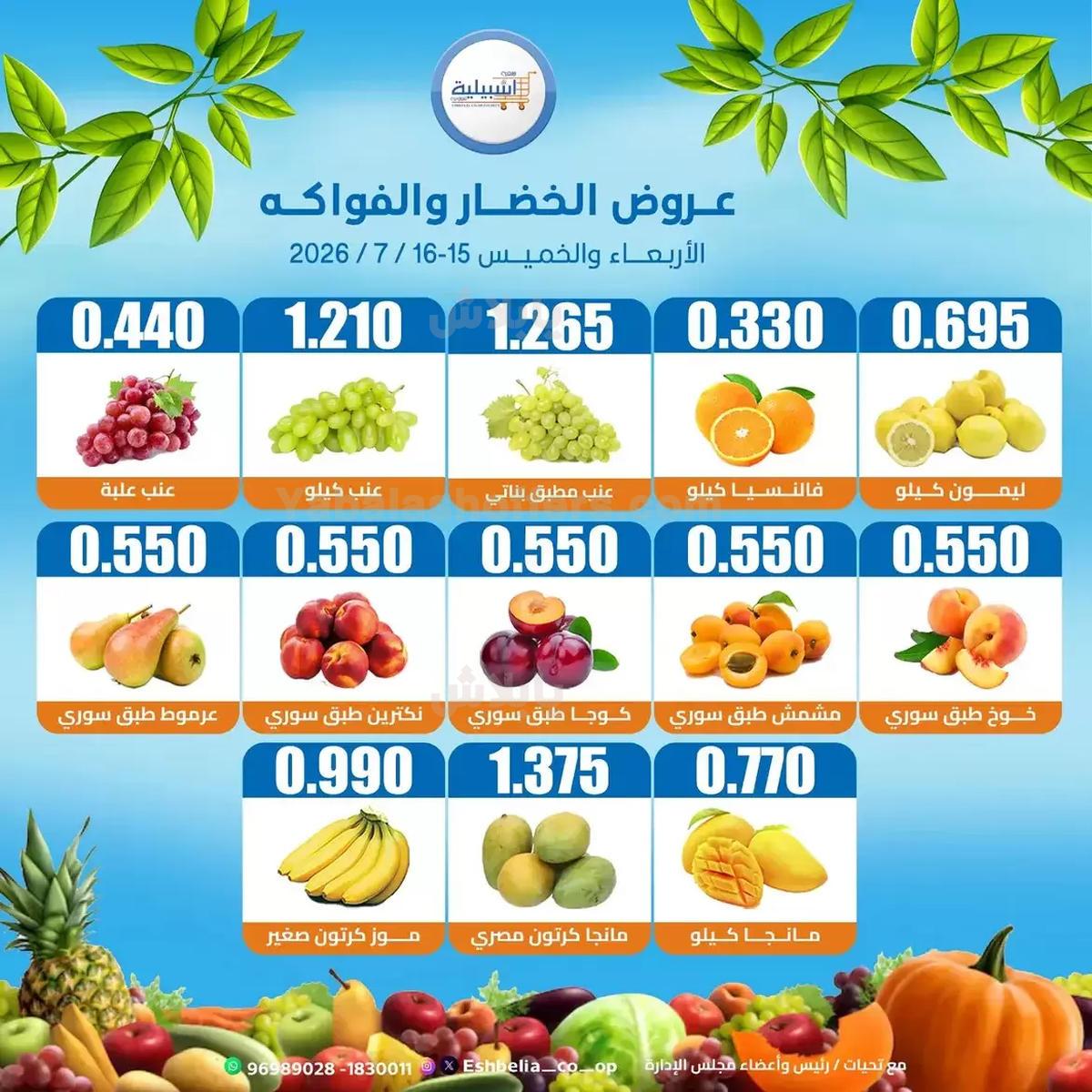 صفحة 2