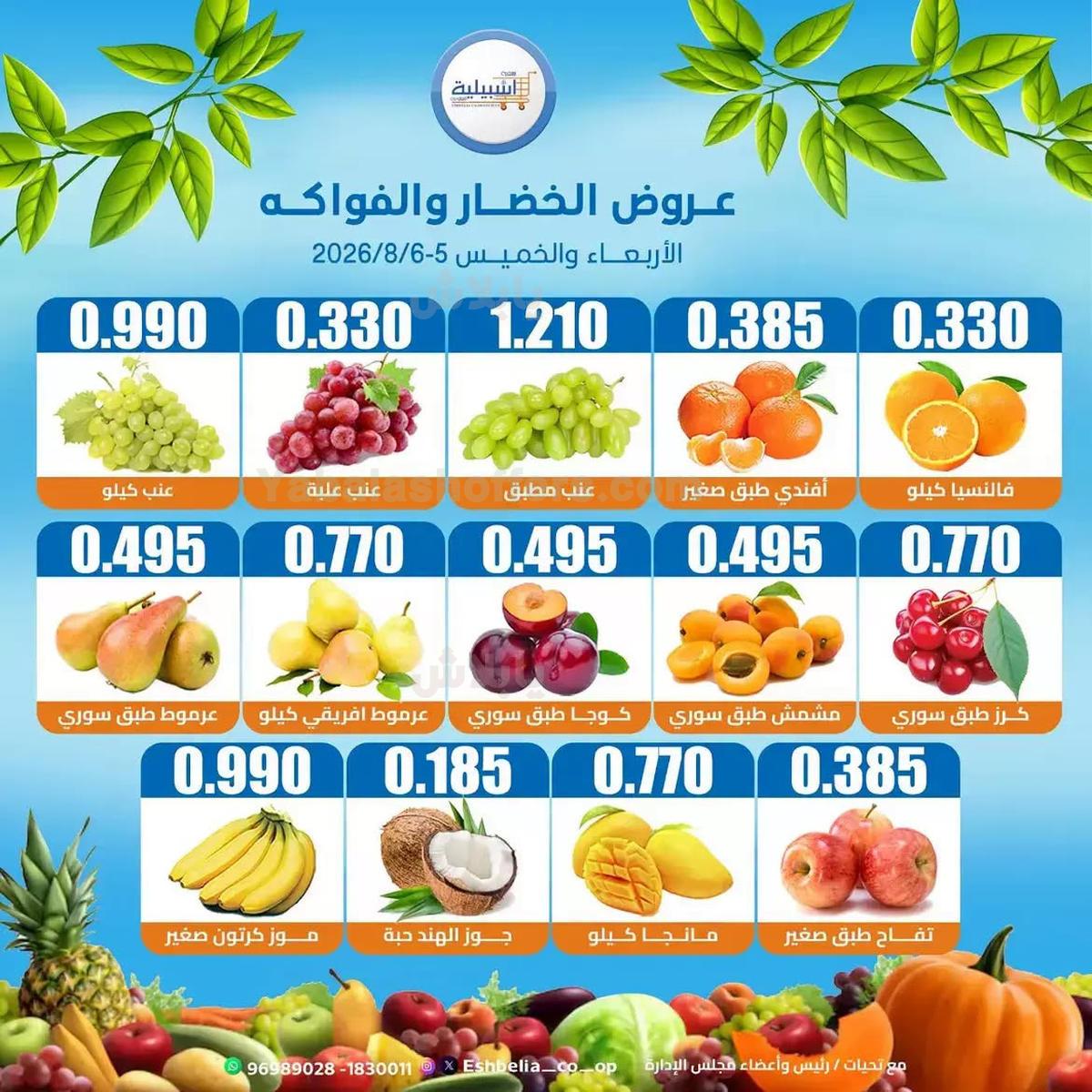 صفحة 2