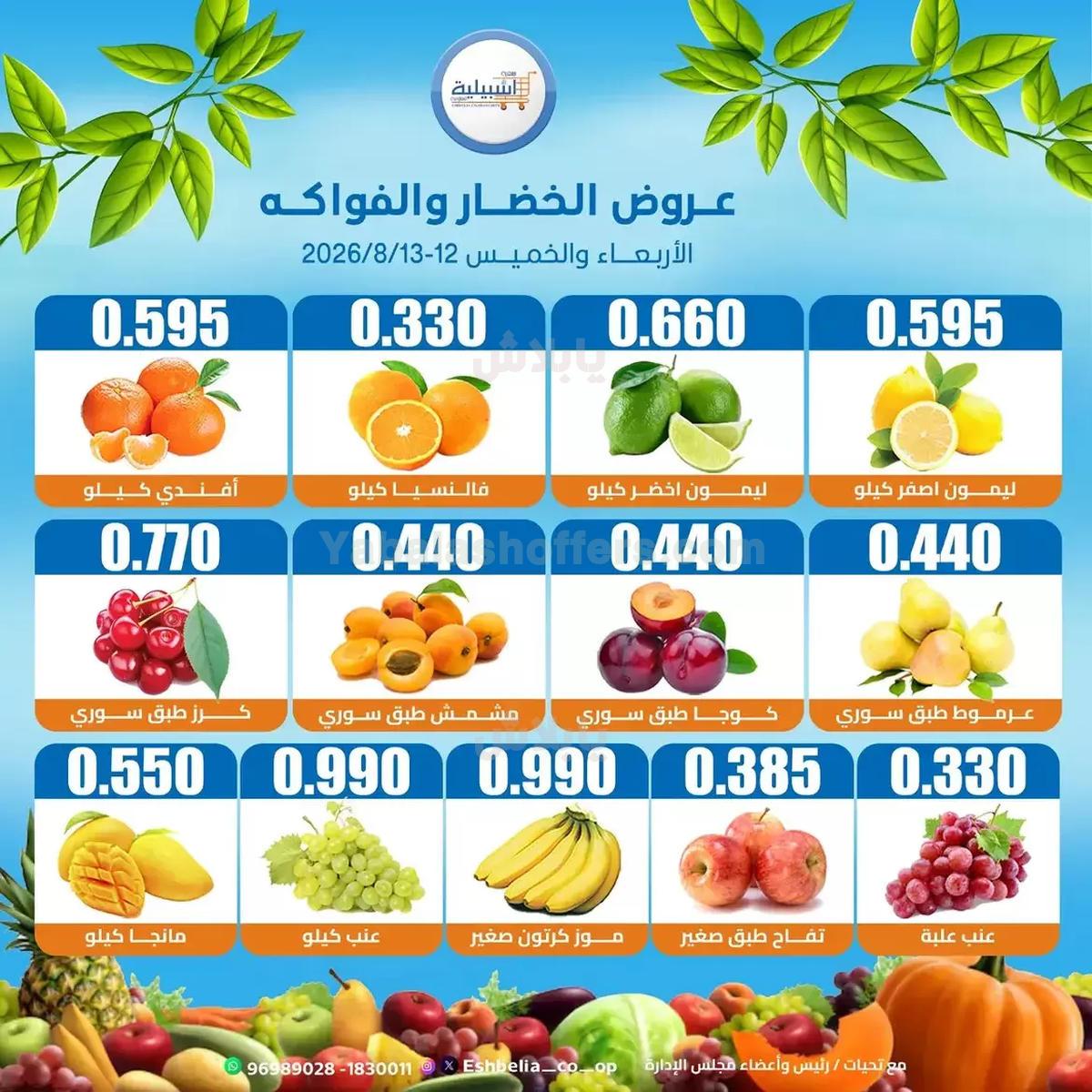 صفحة 2