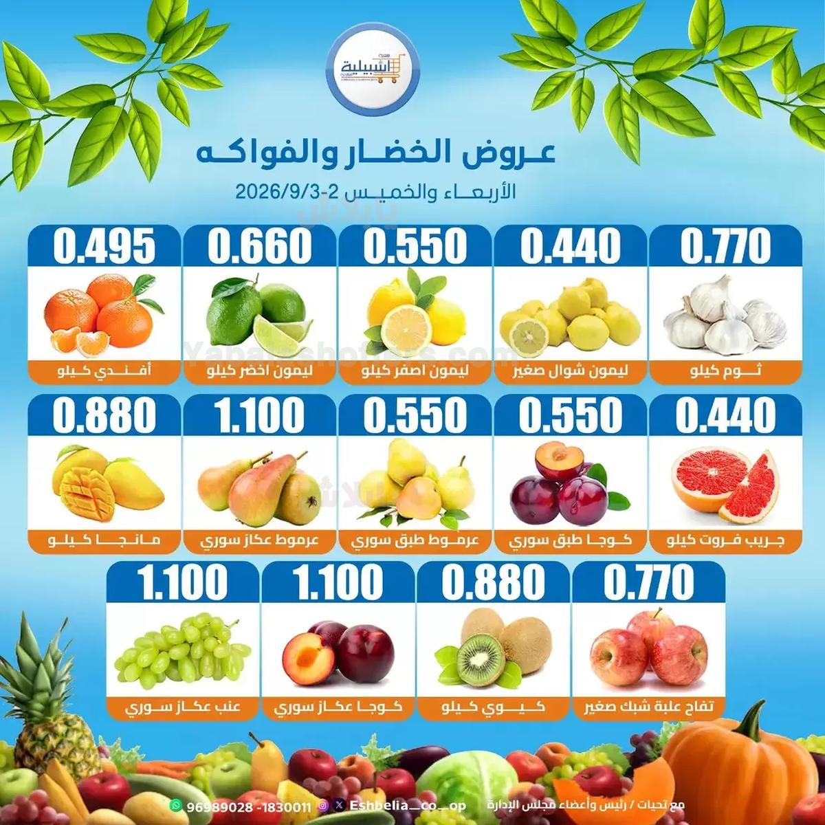 صفحة 3